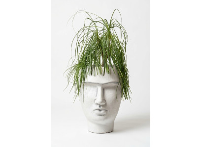 Design Flower Pot Top Plant Container Vessel Deco Figure Pot Face Sculpture