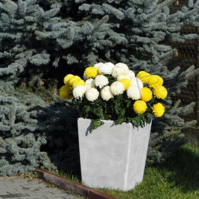 Flower pots plant containers decoration vases garden figure nature flower pots