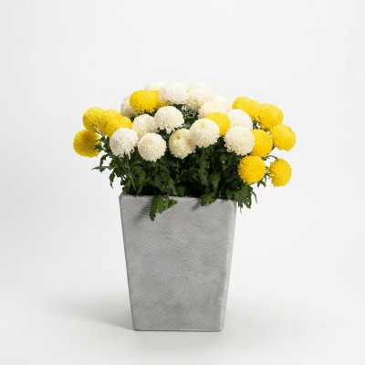 Flower pots plant containers decoration vases garden figure nature flower pots