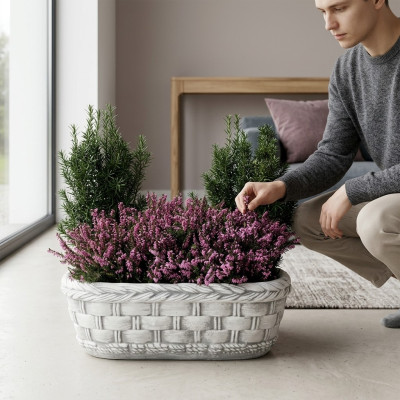 Flower pot, plant, nature, tub, decoration, garden, vases, flower pots, figure