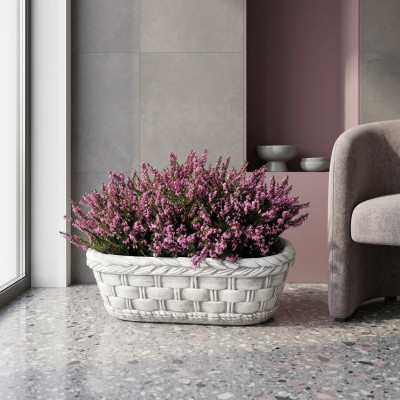 Flower pot, plant, nature, tub, decoration, garden, vases, flower pots, figure