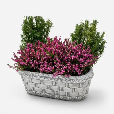 Flower pot, plant, nature, tub, decoration, garden, vases, flower pots, figure