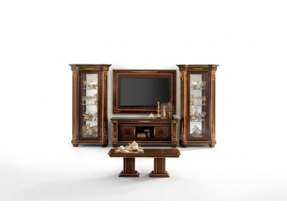 Closet wall unit TV designer furniture living room display cabinet displays