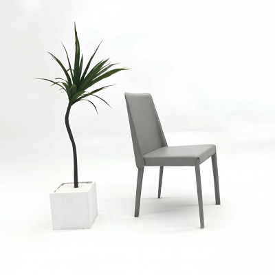 Design chair with backrest, upholstered dining room chairs, armchairs, club kitchen, lounge living furniture.