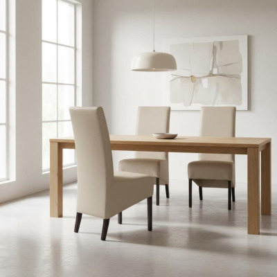 Design armchair upholstery set of 2x chairs, wooden chairs, catering dining room, new.