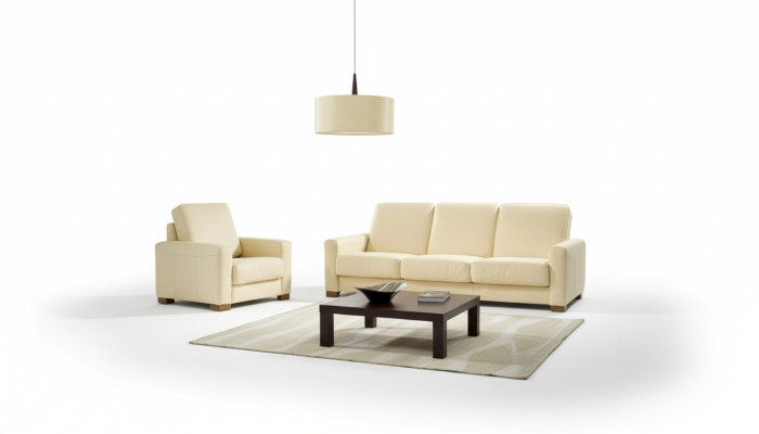 Two-seater couch classic leather sofa couch upholstered sofa 2-seater leather