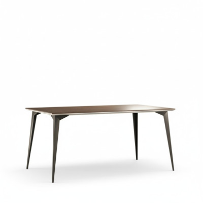 Design dining table antique style dining table modern tables living room wood 160x90cm new