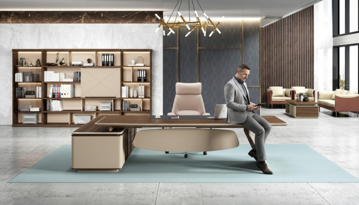 Office furniture 2-piece set: executive desk, filing cabinet, office desk, tables, shelf