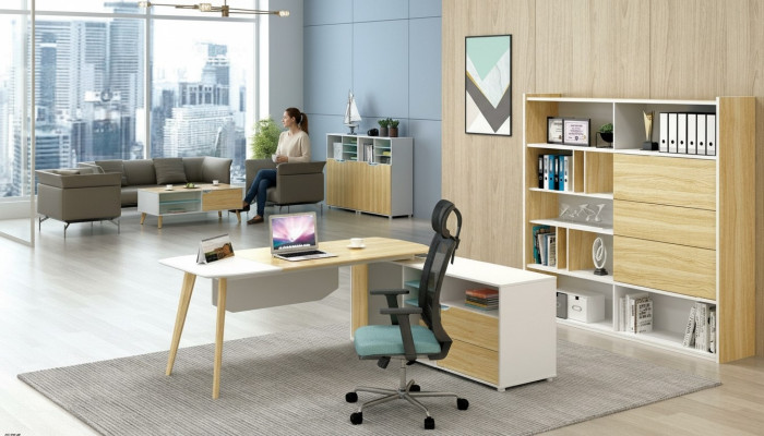 Desk & Filing Cabinet Office Furniture 2-piece. Executive Shelf Set Desk