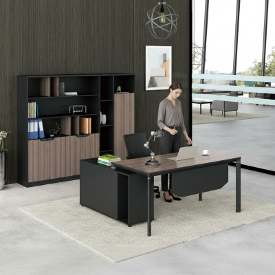 Filing cabinet bookshelf shelves cabinet luxury decor office furniture cabinets