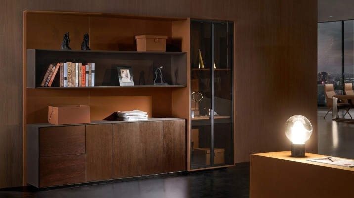 Books, files, cabinet, shelf, wall, office, practice, company, office, furniture