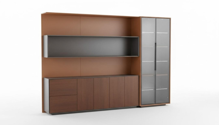 Books, files, cabinet, shelf, wall, office, practice, company, office, furniture