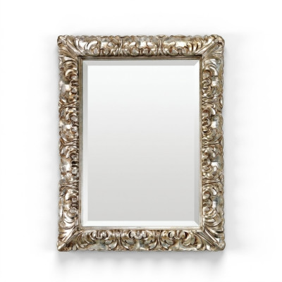 Classic Large Mirror Wall Mirror Hanging Mirror Wood Frame Wardrobe SP6890