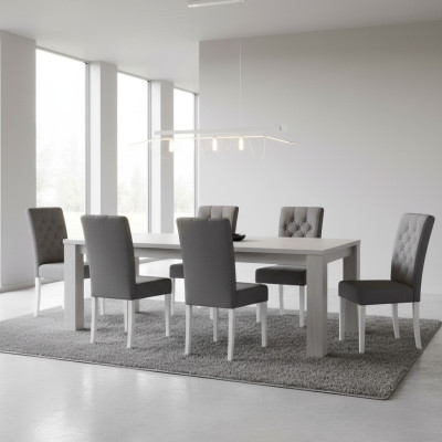Complete set of 6x armchairs, chair group dining room set