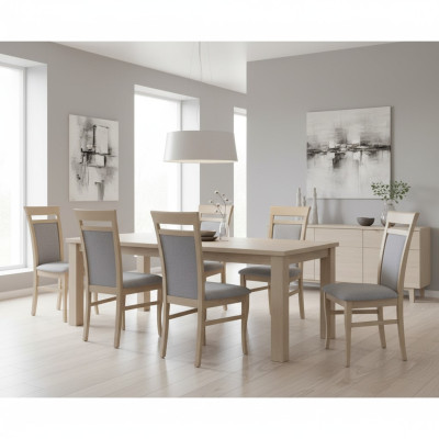 Complete set group living room 6x pieces gray dining room chair set chairs new