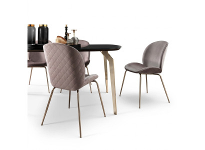 Dining room chairs wood luxury armchair chair beige lounge chair living room furniture new