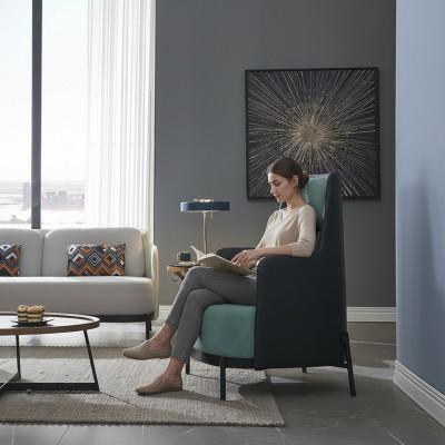 Chair club chair lounge chair cocktail chair armchair sofa couches TV new