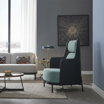 Chair club chair lounge chair cocktail chair armchair sofa couches TV new