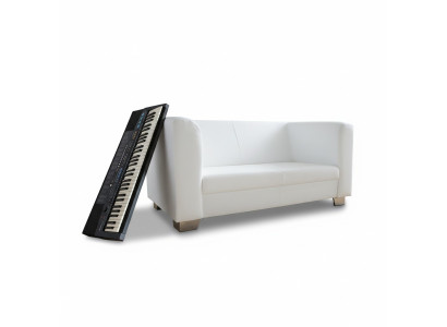 Sofa Couch Design Upholstery Modern Leather Sofas 2-Seater Two-Seater Designer New