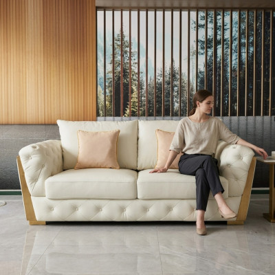 Design two-seater lounge furniture 2-seater sofa couch upholstered club sofas couches