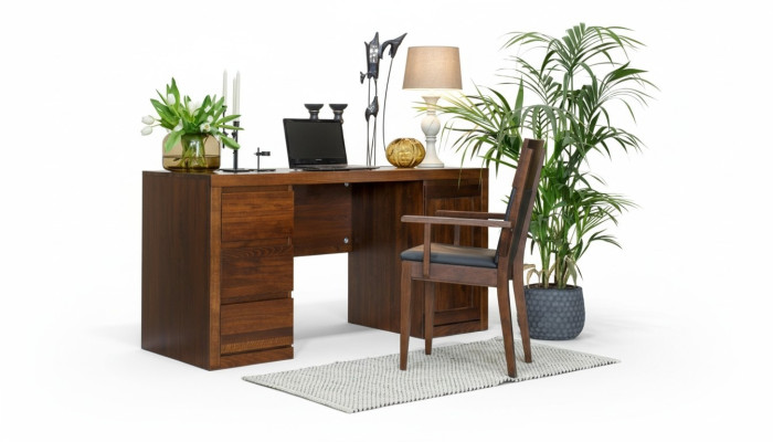 Office set suite furnishing table + chair solid wood furniture oak solid wood