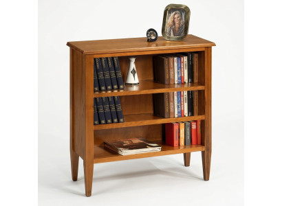 Bookshelf Display Cabinet Collector's Cabinet Shelf Solid Wood Furniture Shelves Cabinets New