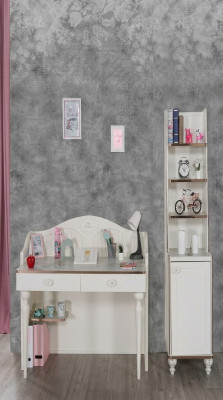 Bookcase Desk Teen Room Furniture Shelves in Children's Room 2-Piece Set