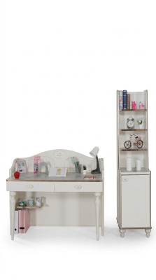 Bookcase Desk Teen Room Furniture Shelves in Children's Room 2-Piece Set