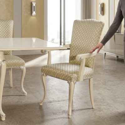 Classic chairs chair designer wooden chair dining chair luxury wood new furniture