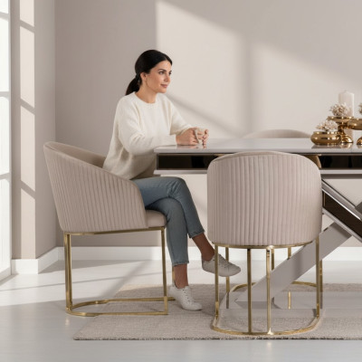 Luxury dining table chair, armchair, furniture, furnishings, seat cushion, chairs