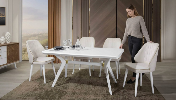 Esgruppen Set Luxury White 4x Chairs Stainless Steel Furniture Wooden Furniture