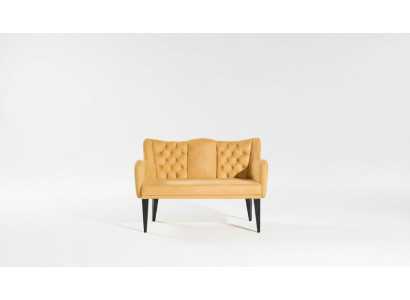 Modern luxury orange two-seater sofa