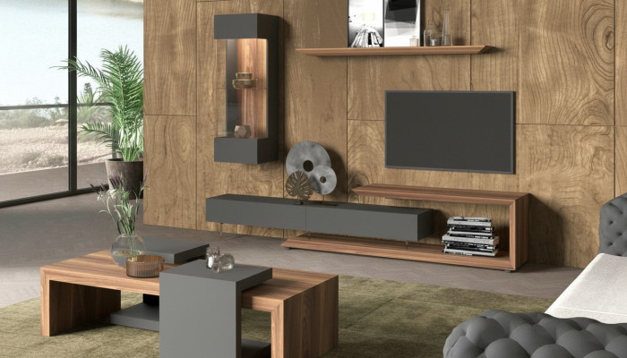 Wall Cabinet Wall Panel Side Cabinet Natural Walnut - Matt Anthracite