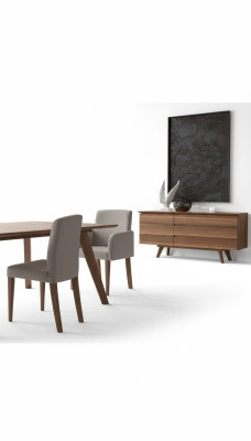 Chair Upholstered Furniture Single-Seater Kitchen Chairs Dining Chair Designer Furniture