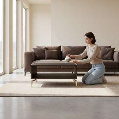 Coffee table, stainless steel furniture, office furniture, designer furniture, real wood furniture