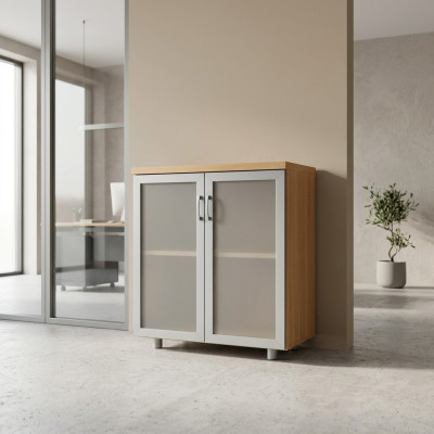 Glass filing cabinet furniture shelf office study new office furniture