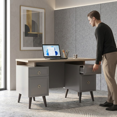 Computer desk, writing desk, children's desk, wood, gray, table design
