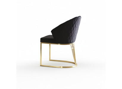 Upholstered Chair Dining Chair Wooden Chair Kitchen Chair Black Modern Gold