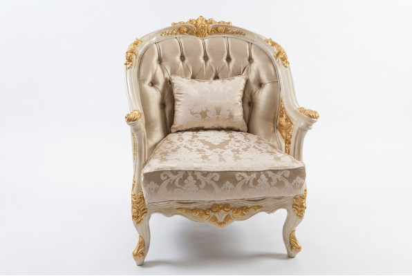 Elegant living room chair cozy seating chair modern setting new