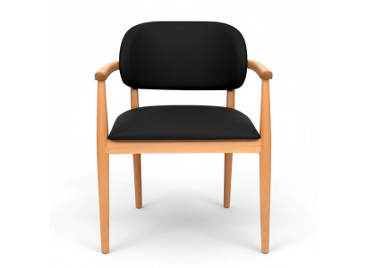 Black armchair designer dining chair luxury single-seater wooden furniture