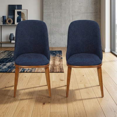 Stylish Blue Dining Room Chairs Designer Furniture Chair Set Furniture