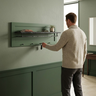 Cabinet wall with shelf and wardrobe door