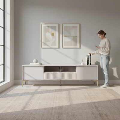 Modern stainless steel TV stand