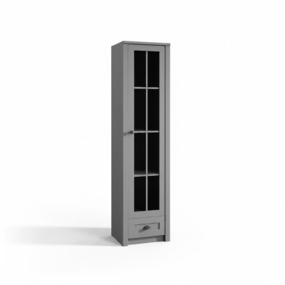 Modern and elegant gray display cabinet