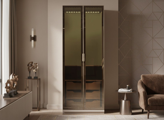 Modern modular wardrobe with practical design
