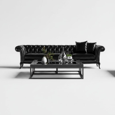 Modern sofa