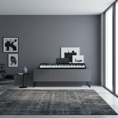 Portable digital piano with 88 keys: Bluetooth, app connection and microphone connection