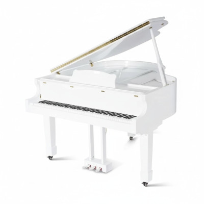 Black glossy piano