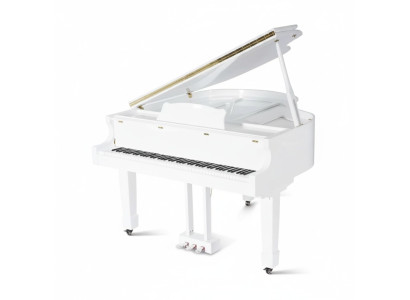 Black glossy piano