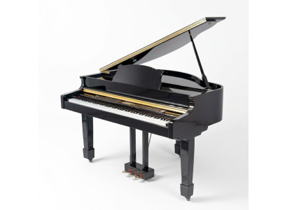 Digital piano Mustat